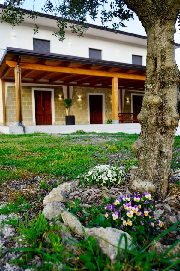 Atomos Bed & Breakfast Alvignano Екстериор снимка